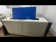 회사 소개 영상